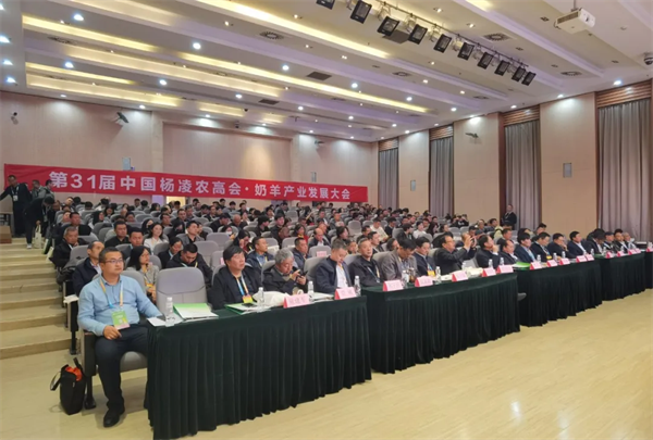 新質生產力 羊乳新未來——第31屆中國楊凌農高會·羊乳產業博覽會暨奶羊產業發展大會成功舉辦
